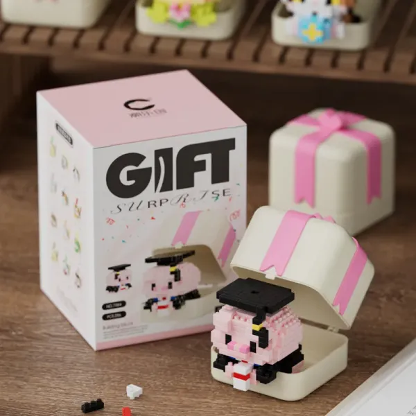 Dr_Piggy_Building_Block_Gift_Box