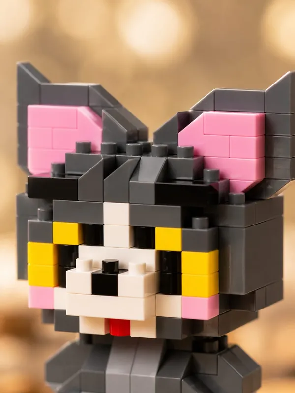 Tom_Building_Block_Toy