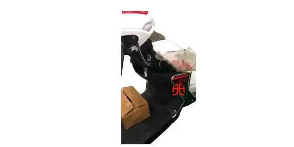 Joy_E-Bike_Wolf_Combo_Accessories_Kit:_Stainless_Steel_Safety_Guard_Set_&_Colour_Floor_Mat