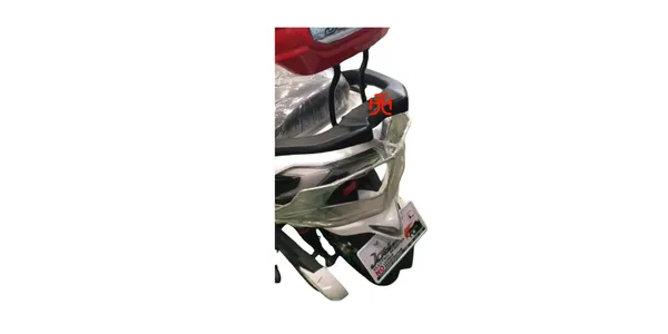 Joy_E-Bike_Wolf_Combo_Accessories_Kit:_Stainless_Steel_Safety_Guard_Set_&_Colour_Floor_Mat
