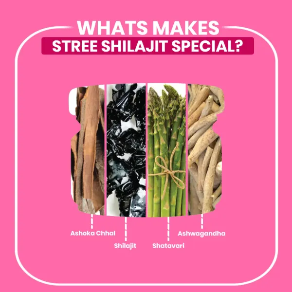 Shilajit_Pure_Himalayan_Resin_For_Women_|_Energy,_Immunity_And_Wellness_Supplement_|_30_Gram_Each_|_Pack_Of_2