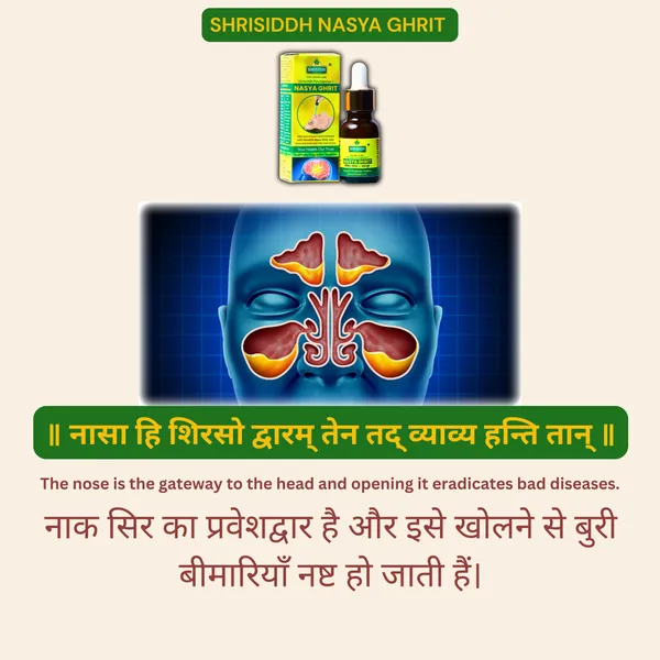 Shrisiddh_Nasya_Ghrit__Nasal_+_Navel__Drops_(15ml_Mini_Pack_of_3)_For_Mind_&_Brain_Wellness