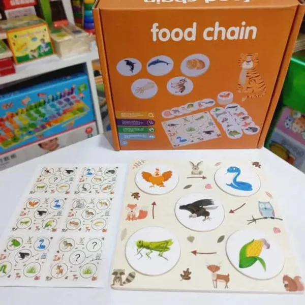 Explore_Nature_Through_Play_Ecosystem_Flow_Energy_Chain_Learning_Toy