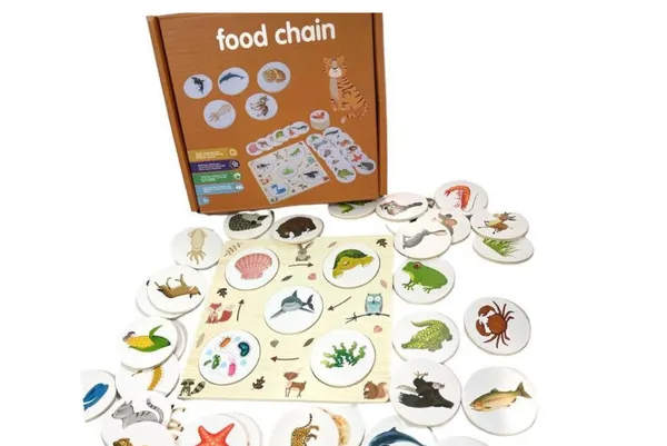 Explore_Nature_Through_Play_Ecosystem_Flow_Energy_Chain_Learning_Toy