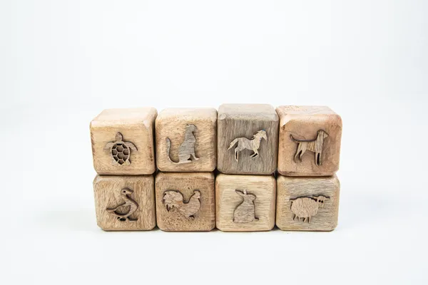 Wooden_Clay_Stamps_Animal_Imprint_Set