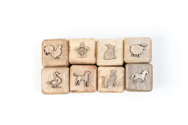 Wooden_Clay_Stamps_Animal_Imprint_Set