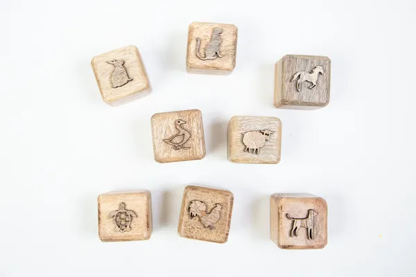 Wooden_Clay_Stamps_Animal_Imprint_Set
