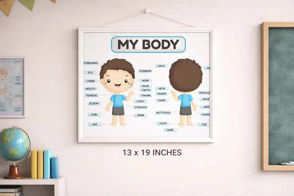 My_Body_Poster_For_Kid