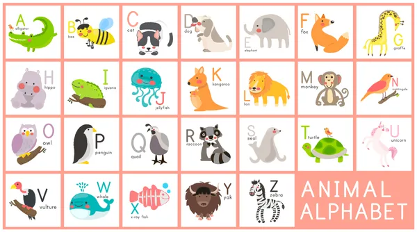 Animal_Alphabet_Flash_Cards_A_Z_Learning_Cards_For_Kids