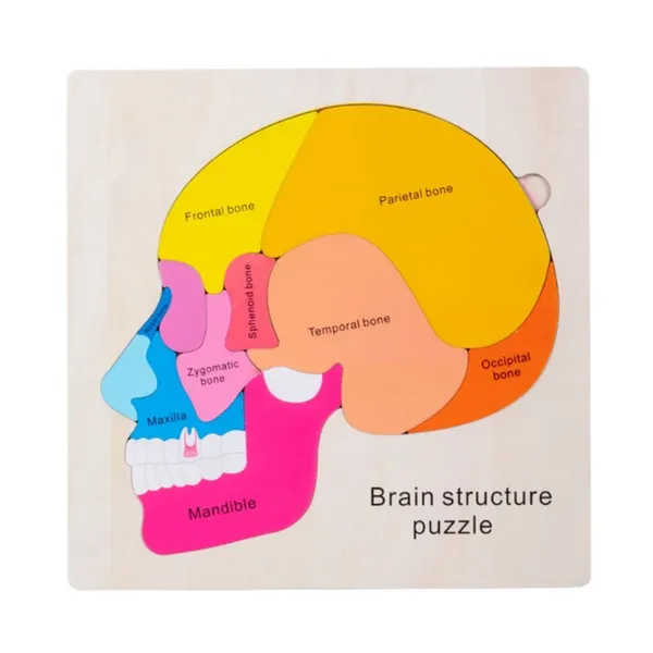 Brain_Jigsaw_Puzzle