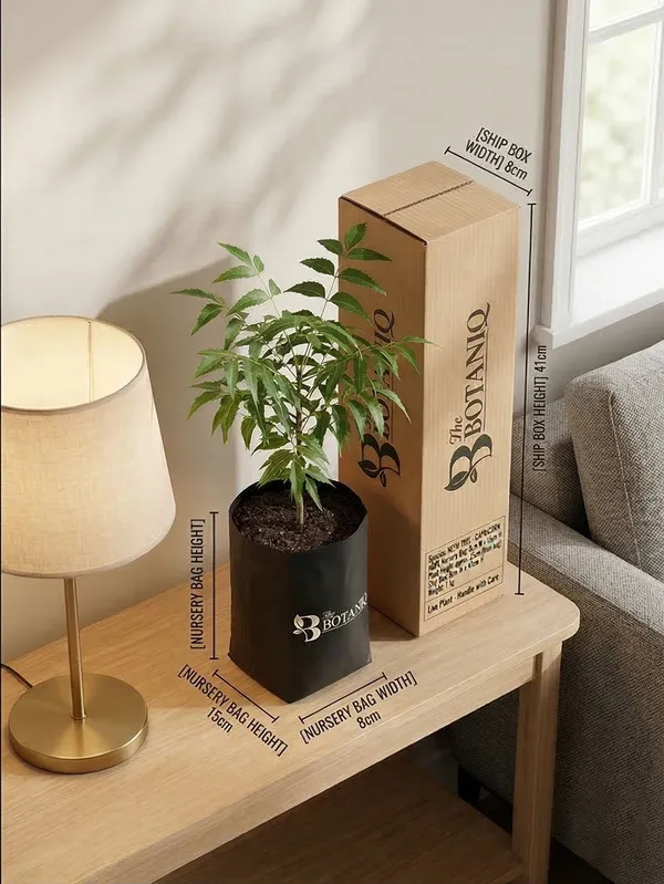Neem_Tree_-_Capricorn_Plant