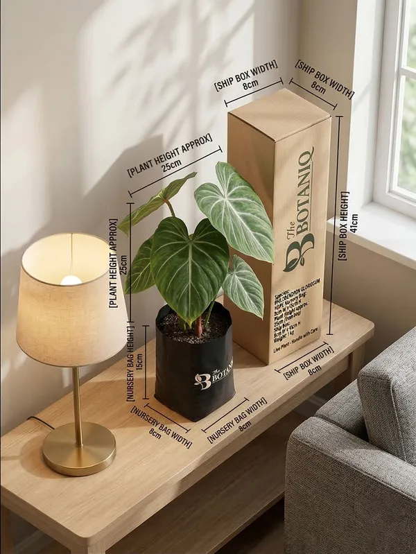 Philodendron_Gloriosum_Plant