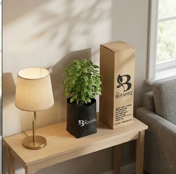 Basil_-_Scorpio_Plant