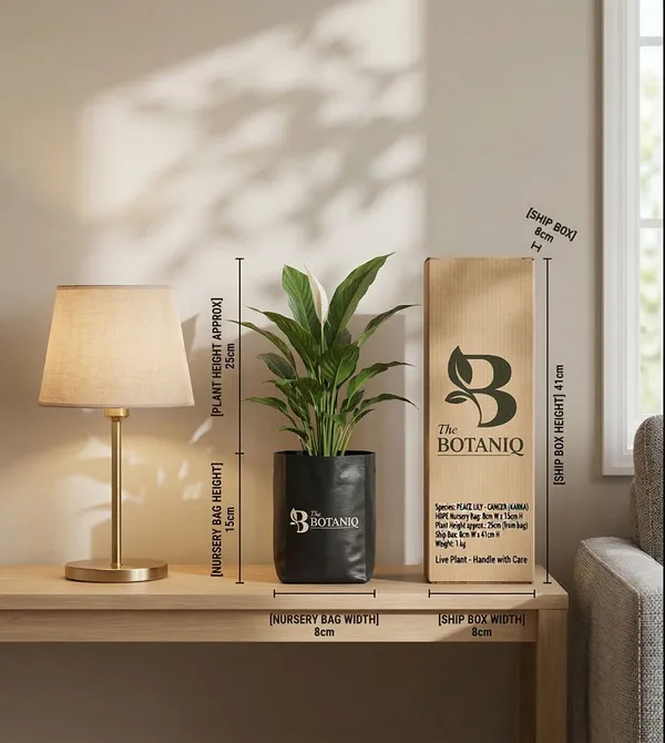 Peace_Lily_-_Cancer_Karka_Plant