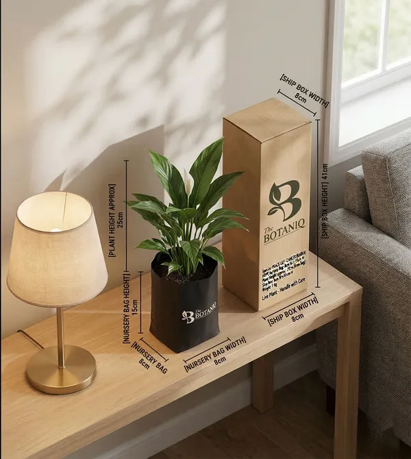Peace_Lily_-_Cancer_Karka_Plant