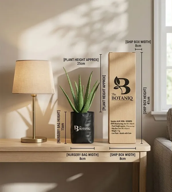 Aloe_Vera_-_Scorpio_Plant