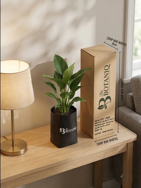Lotus_-_Cancer_Plant