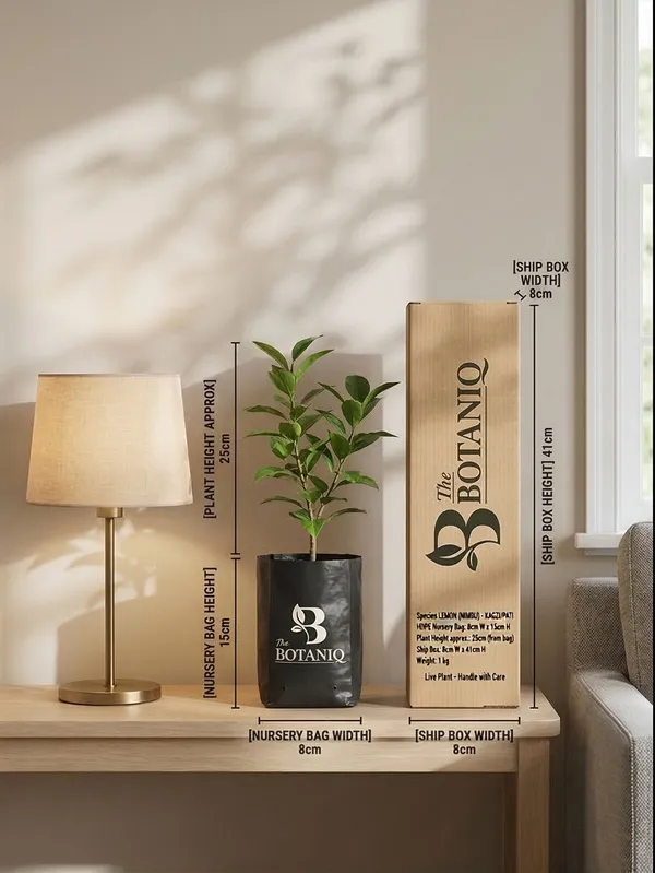 Lemon_Nimbu_-_Kagzi/Pati_Plant