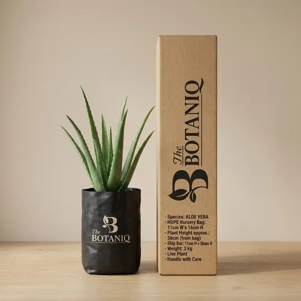 Aloe_Vera