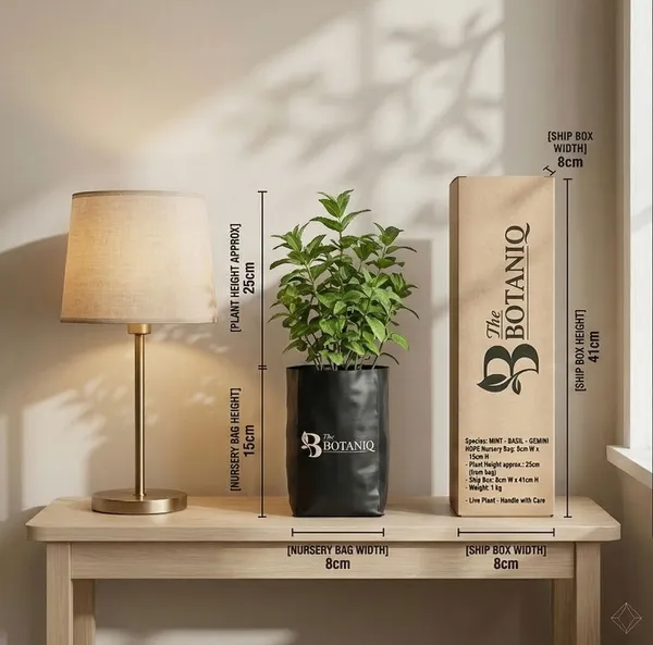 Mint_-_Basil_-_Gemini_Plant