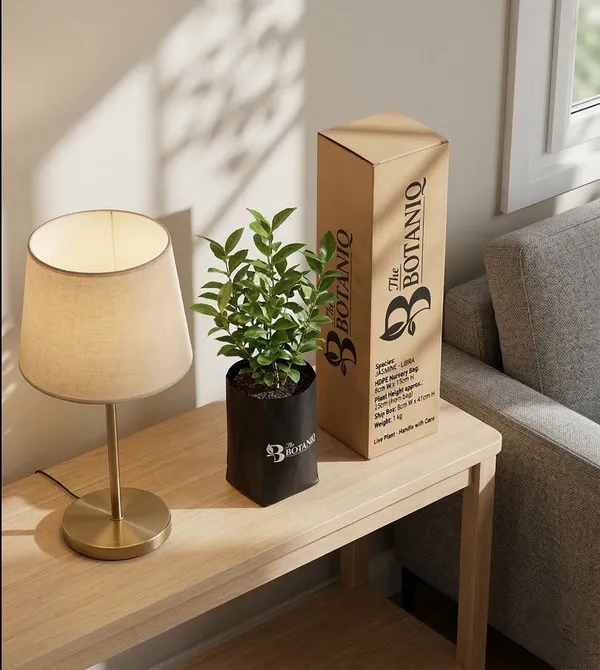 Jasmine_-_Libra_Plant