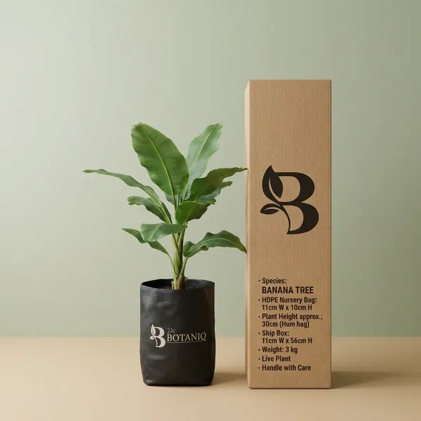 Banana_Tree