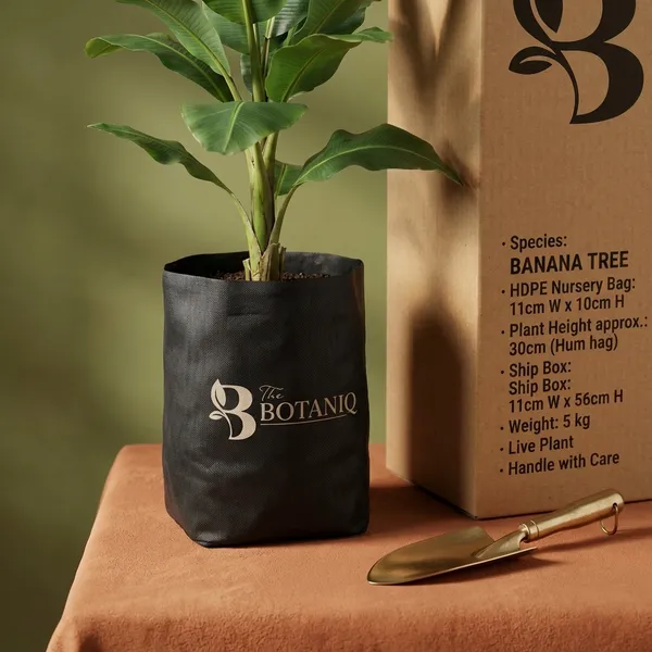 Banana_Tree
