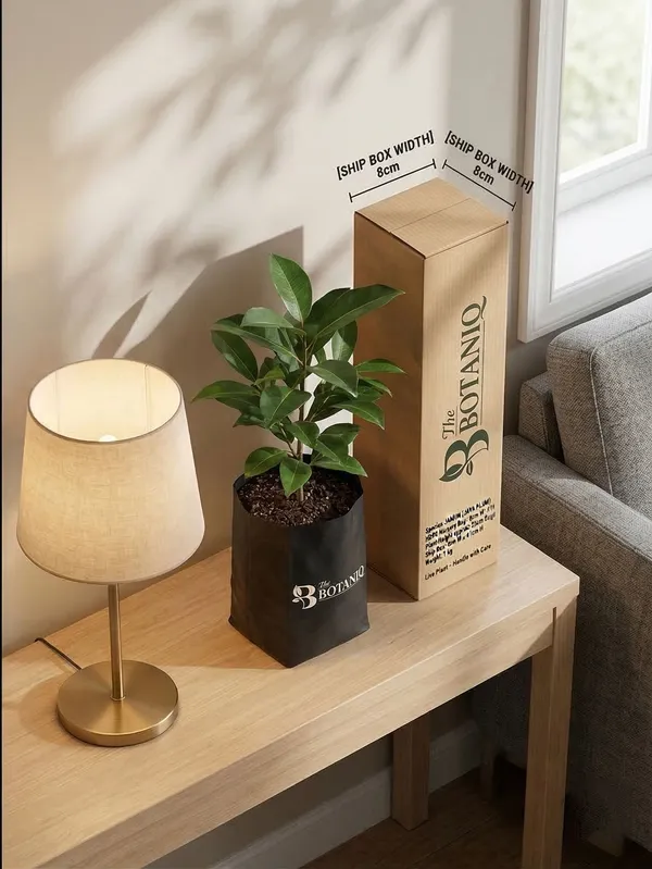 Jamun_Java_Plum_Plant