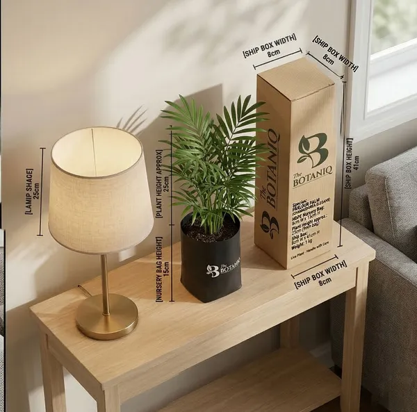 Parlour_Palm_Chamaedorea_Elegans_Plant