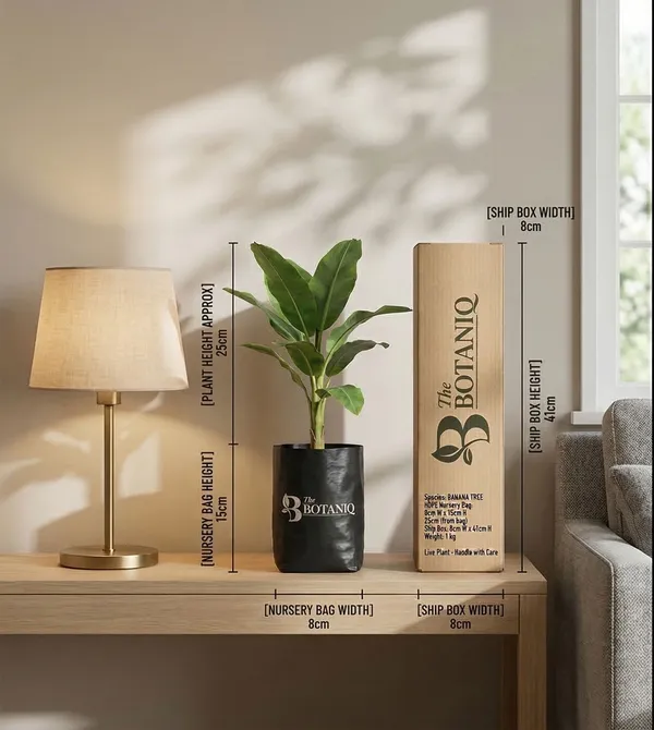 Banana_Tree_Plant