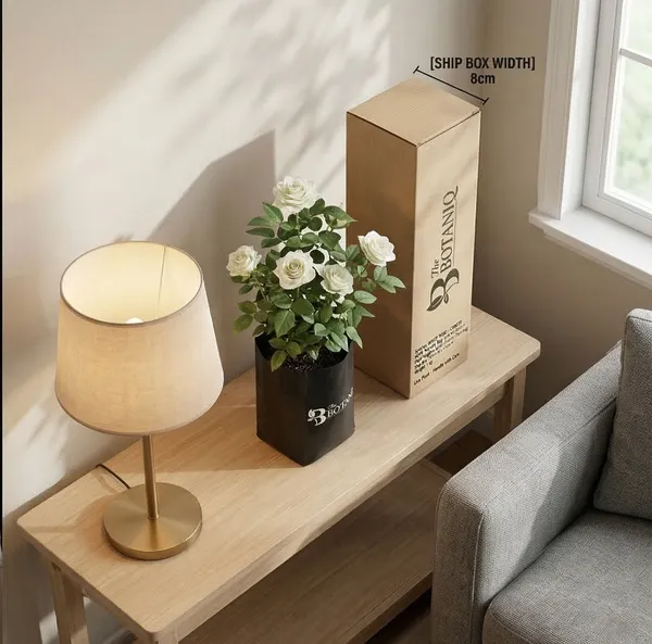 White_Rose_-_Cancer_Plant