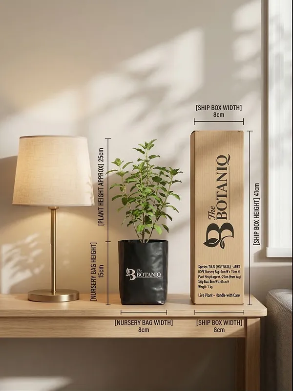 Tulsi_Holy_Basil_-_Aries_Plant