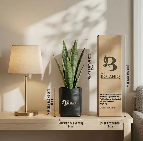 Snake___-_Aries_Mesha_Plant