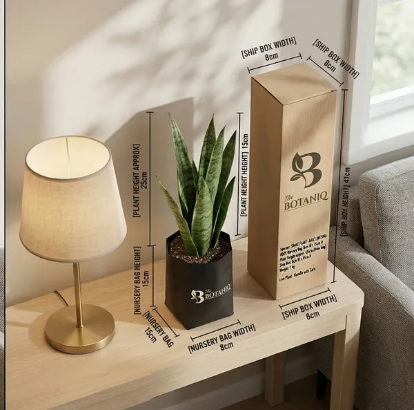 Snake___-_Aries_Mesha_Plant