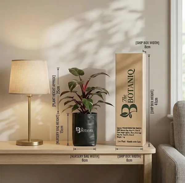 Philodendron_Pink_Princess_Plant