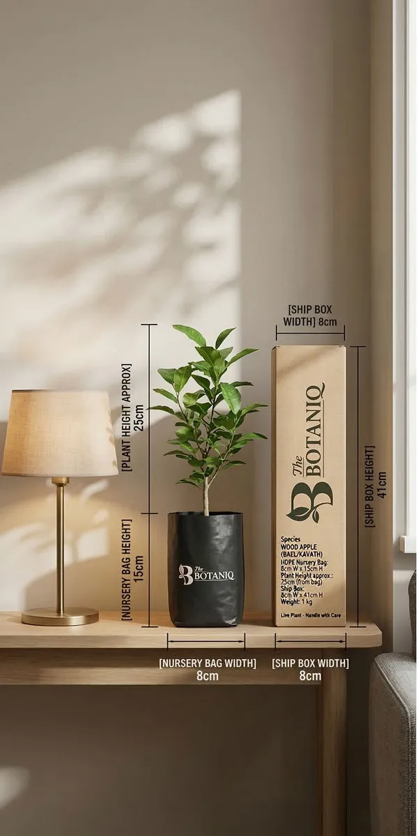 Wood_Apple_Bael/Kavath_Plant
