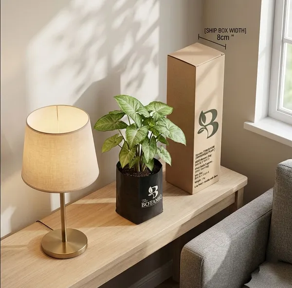 Syngonium_Arrowhead___Plant