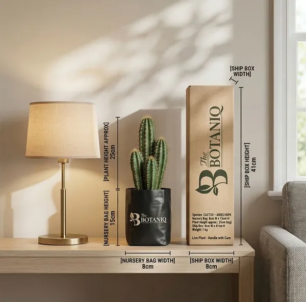 Cactus_-_Aries_Plant