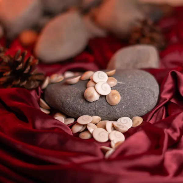 Zenn_Aura_Gomati_Chakra_|_Divine_Protection_&_Fortune_(Gomati_Chakra_51_Pcs)