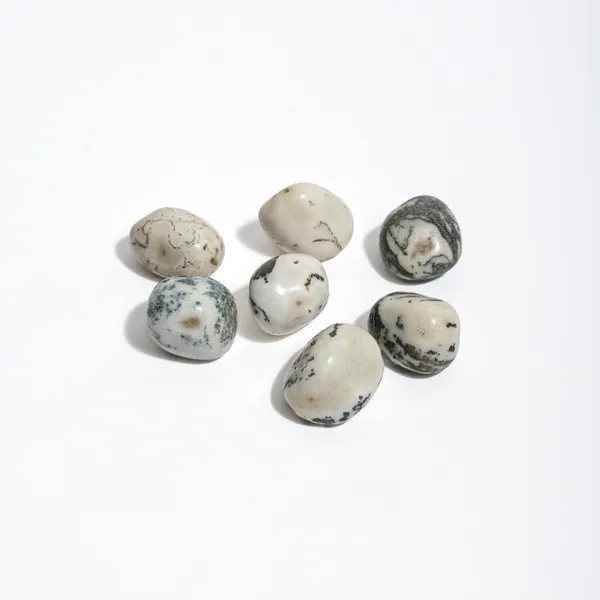 Zenn_Aura_Tree_Agate_Tumble_|_Stability_&_Growth_(Pack_of_9)