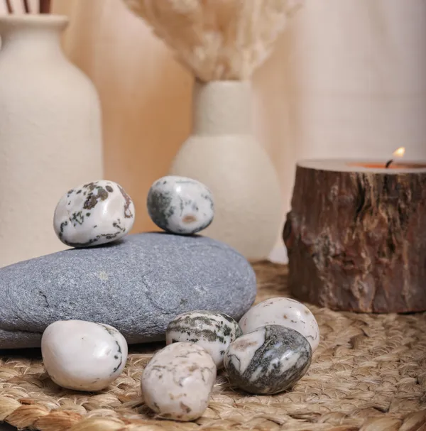 Zenn_Aura_Tree_Agate_Tumble_|_Stability_&_Growth_(Pack_of_9)