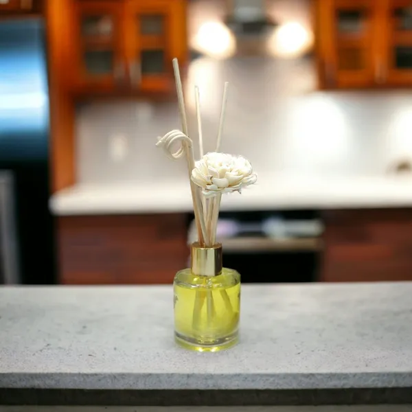 Zenn_Aura_Citronella_Reed_Diffuser_Set_|_Protection_&_Freshness_(60_ML_Premium_Round)