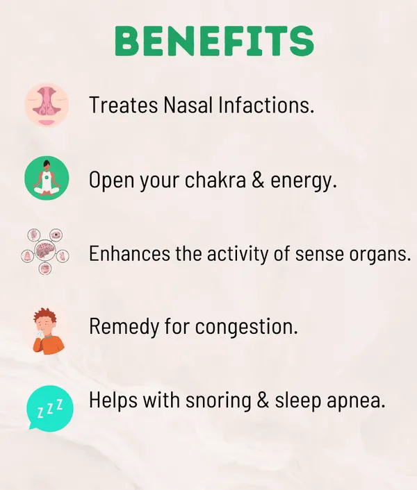 Kayapalat_Nashya_Ayurvedic_Nasal_Therapy_For_Health_Wellness