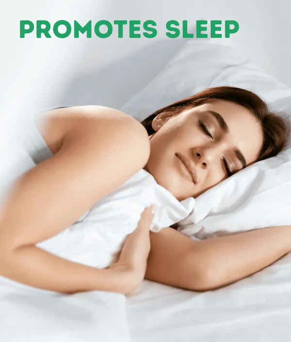 Kayapalat_Nashya_Ayurvedic_Nasal_Therapy_For_Health_Wellness