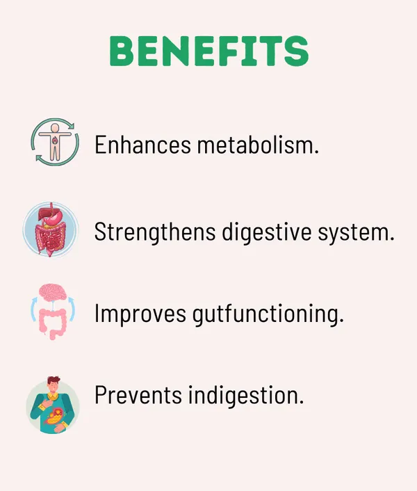 Kayapalat_Nabhipurna_Therapy_Holistic_Care_For_Wellness_Balance