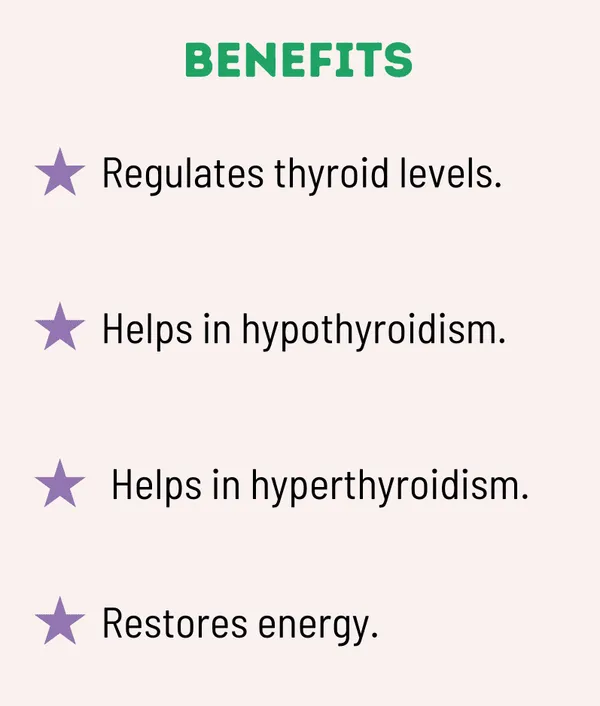 Kayapalat_Thyroid_Belt_Magnetic_Therapy_For_Thyroid_Tonsils_Relief