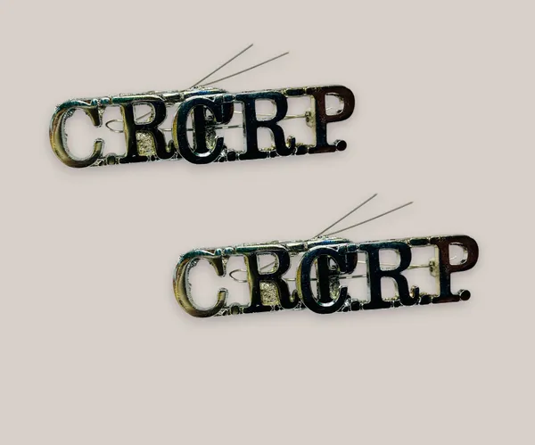 Silver_Crpf_Shoulder_Badge_Pack_Of_6