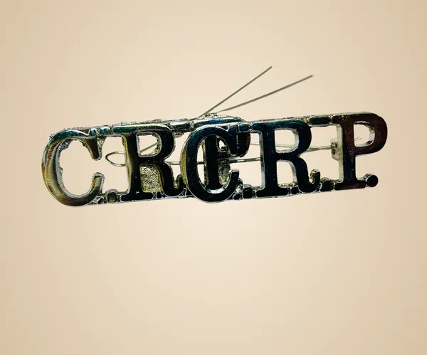 Silver_Crpf_Shoulder_Badge_Pack_Of_6