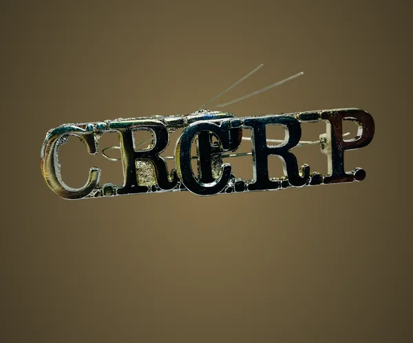 Silver_Crpf_Shoulder_Badge_Pack_Of_6