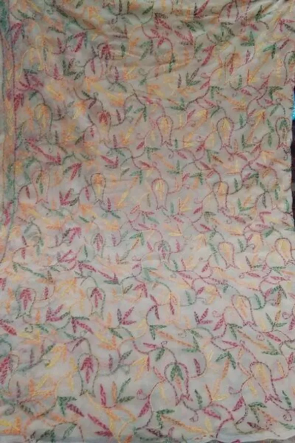 Beige_Chikankari_Saree_With_Multicolour_Embroidery